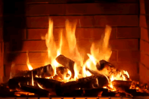 foc